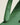 Thongs-Australia-Mens-Great-Otways-Green-Natural-Rubber-Australian-Made-Flip-Flops-Sandals-Beach-Essentials