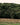 Thongs-Australia-Mens-Great-Otways-Green-Natural-Rubber-Australian-Made-Flip-Flops-Sandals-Beach-Essentials